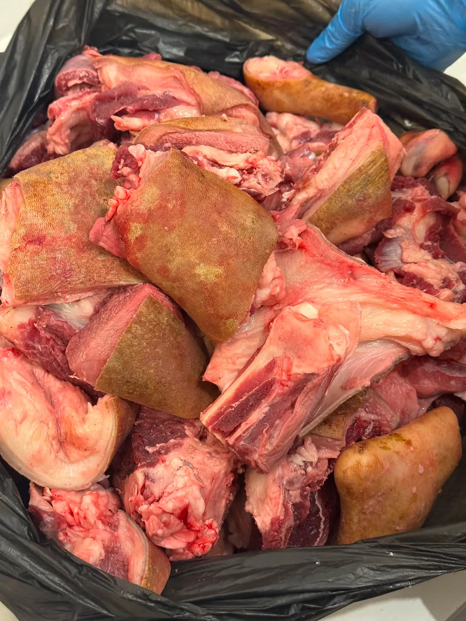 Fresh goat meat